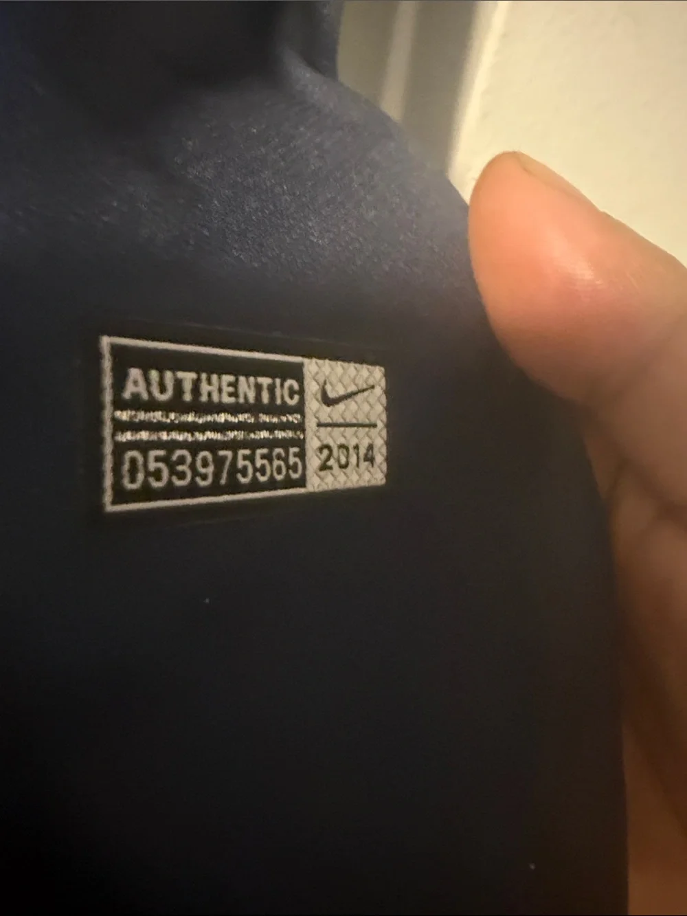 Nike #10 zlatan